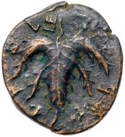 Judaea, Bar Kokhba Revolt. Ã Medium Bronze (7.41 g), 132-135 CE EF - 2