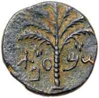 Judaea, Bar Kokhba Revolt. Ã Medium Bronze (9.83 g), 132-135 CE Choice VF