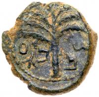 Judaea, Bar Kokhba Revolt. Ã Small Bronze (5.83 g), 132-135 CE EF