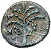 Judaea, Bar Kokhba Revolt. Ã Medium Bronze (9.41 g), 132-135 CE VF