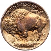 1913 Buffalo 5C. Type 1 PCGS MS65 - 2