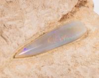 Opalized 120 Million Year Old Coober Pedy Fossil Belemnite
