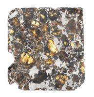 Rare Fukang Pallasite Section