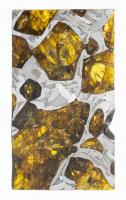 Brahin Pallasite Slice