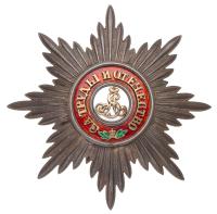 Breast Star. Civil Division. Silver, gilt and enamels. 90 mm