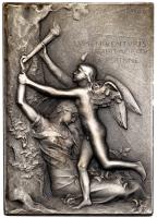 France. Universal Exposition, Paris Silvered Bronze Medal, 1900 Specimen 63
