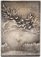 France. Universal Exposition, Paris Silvered Bronze Medal, 1900 Specimen 63 - 2