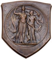United States. Louisiana Purchase Exposition Triangle Bronze Medal, 1904