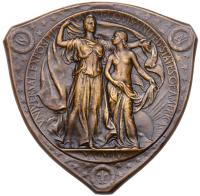 United States. Louisiana Purchase Exposition Triangle Bronze Medal, 1904