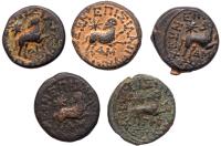 5-Piece lot of Antiochene bronze coins depicting the Star of Bethlehem. - 2