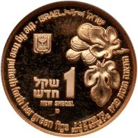 Israel. 1 New Sheqel, 1996 NGC PF66 UC