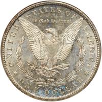 1884-CC Morgan $1 NGC MS63 PL - 2