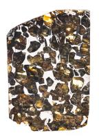 Museum Quality Seymchan Pallasite Meteorite