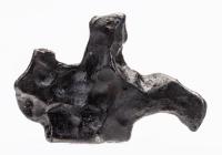 Sculpture-like Sikhote-Alin Iron Nickel Meteorite