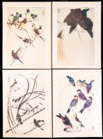Early 20th Century Japanese Origingal Bird Prints. "Exquisite Birds of the World"