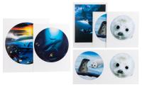 Robert Wyland. Five (5) Wyland Signed and Numbered Limited Edition Prints