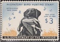 Hunting Permit, 1959, $3 Labrador Retriever - 2