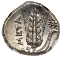 Lucania, Metapontion. Silver Nomos (7.92 g), ca. 330-290 BC - 2