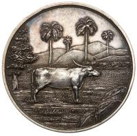 Ceylon. Colombo Agri-Horticultural Society, Silver Medal, 1899