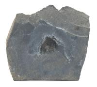 Rare Burgess Shale Marrella Fossil