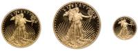 2011-W 3-piece American Gold Eagle Proof Coins