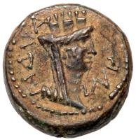 Gadara in Decapolis, CY 131 (AD 67/8). Nero. Ã 15 (4.31 g), AD 54-68 - 2