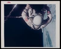 Gemini 12 Buzz Aldrin Vintage Color Red Number Photograph