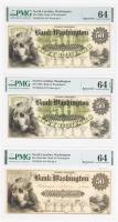 Trio of North Carolina, Washington $50.00 1860s Bank of Washington Notes