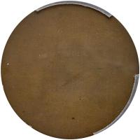 WITHDRAWN - Bohemia. Uniface Bronze Medal, (1920) PCGS Specimen 64 - 2