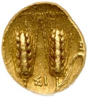 Italy, Metapontion (in Lucania). Pyrrhos. Gold 1/3rd Stater (2.84g), 13 mm - 2