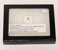 Tissent Martian Meteorite