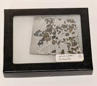 Meteorite Seymchan Pallasite