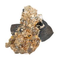 Unique Seabed Encrustation Having Two Spanish Colonial-Era Silver Cobs