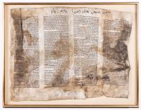 Holocaust-Damaged Torah Fragment