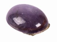 95 Carat Star Ruby Cabochon Begging to be the Centerpiece of a Striking Pendant