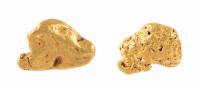 Two Outstanding Examples of Mexican Gold Nuggets, Caborca Region of Sonora. Total Weight of 41 Grams