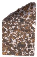 Outstanding Brahin Meteorite Slice 57 x 98 mm, Beautiful Example