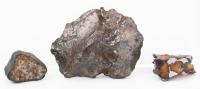 Meteorite Sampler: Stony Meteorite, Iron Nickel Sikhote and Pallasite
