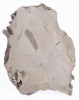Impressive Slice from the Sikhote-Alin Meteor from a Fall in 1947, with the 10 Year Anniversary Commemorative Russian St