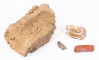 Unidentified Fossilized Dinosaur Bone atop Cut Matrix Segment, a Fossilized Front Mammoth Tooth and an Agatized/Fossiliz