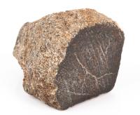 Agatized Dinosaur Bone with End Cut to Reveal Bone Cell Formations
