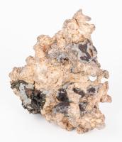 Single Specimen of Native Silver from the Batopias Mine in Chihuahua, Mexico