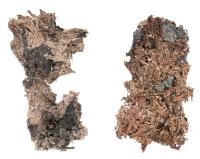 Native Silver from the Batopias Mine in Chihuahua, Mexico. Two Specimens