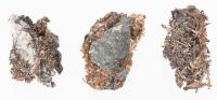 Three Fine Examples of Native Wire Silver from the Batopilas Mine in Chihuahua, Mexico.