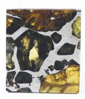 Meteorite Esquel The Most Beautiful Pallasite