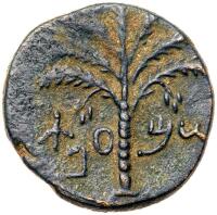 Judaea, Bar Kokhba Revolt. &Atilde;&dagger; Medium Bronze (9.83 g), 132-135 CE Choice VF
