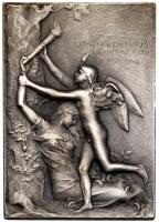 France. Universal Exposition, Paris Silvered Bronze Medal, 1900 Specimen 63