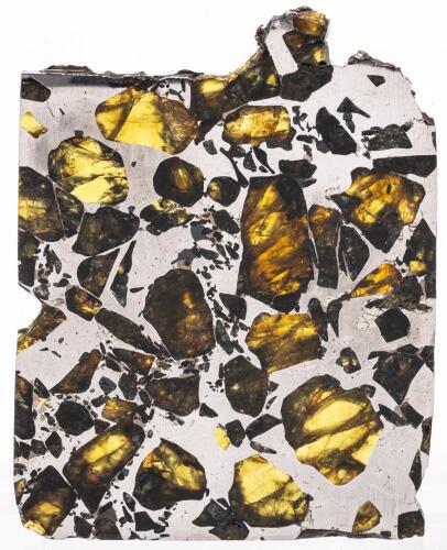 Large 63.2 Gram Section of Famous Esquel Pallasite
