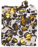 Large 63.2 Gram Section of Famous Esquel Pallasite