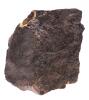 NWA869 Stony Meteorite With Fusion Crust